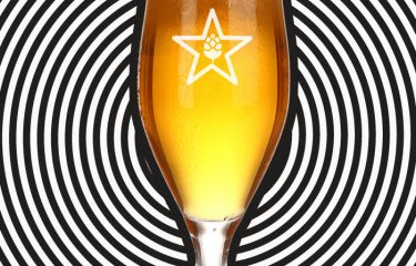 Cerveja Artesanal Cervejaria Campinas