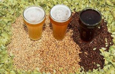 Cerveja Artesanal Cervejaria Campinas