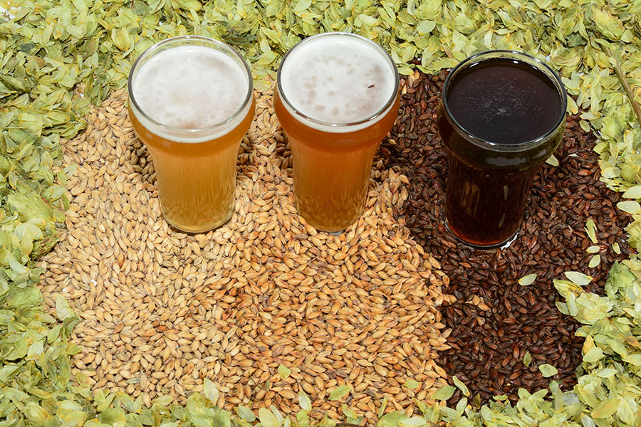 Os ingredientes da cerveja artesanal são a sua identidade.