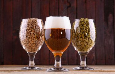 Cerveja Artesanal Cervejaria Campinas