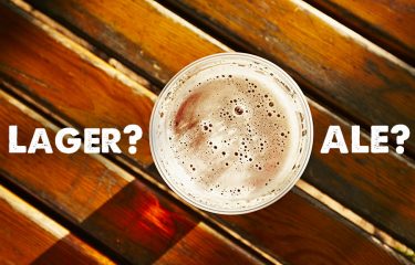 Cerveja Lager ou Cerveja Ale? Cervejaria CAMPINAS