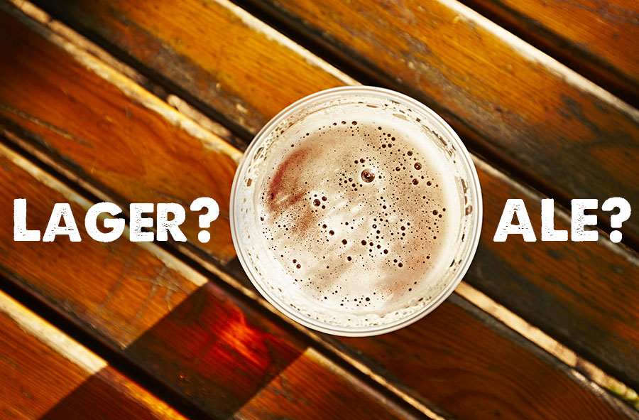 Cerveja Lager e Cerveja Ale: conheça os tipos mais consumidos de cerveja