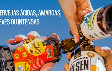Estilos de Cerveja Artesanal. Saiba tudo!