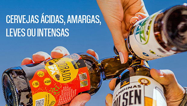 <strong>Estilos de Cerveja Artesanal! Conheça todos os tipos de cerveja.</strong>